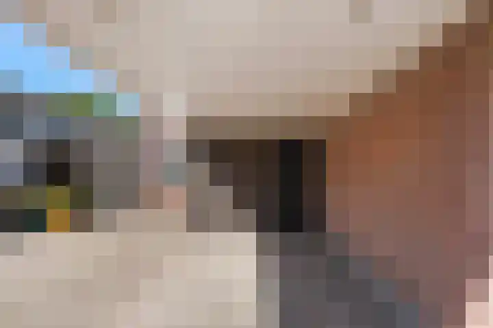 Kruithoorn 1 Gilze thumbnail 6
