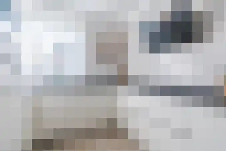 Kruithoorn 19 Gilze thumbnail 13