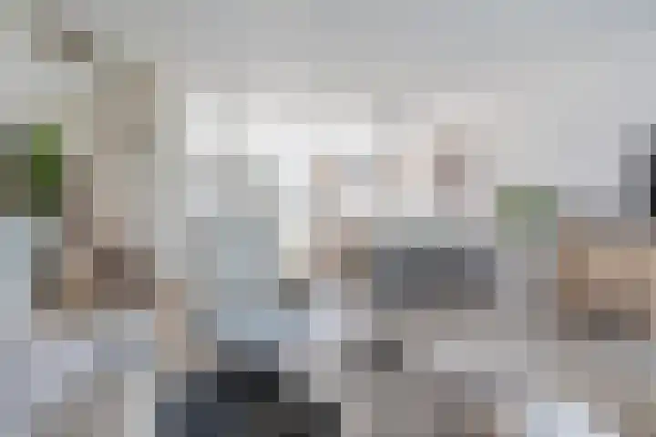 Kruithoorn 19 Gilze thumbnail 9