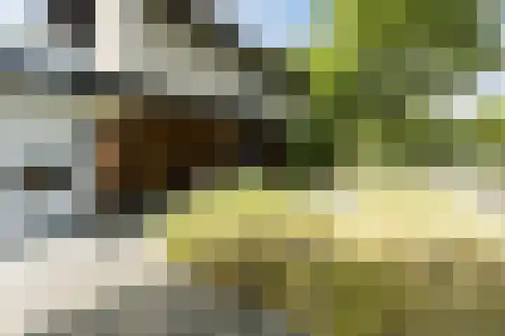 Kruithoorn 23 Gilze thumbnail 18