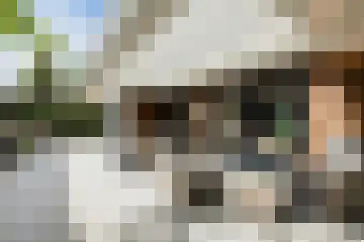 Kruithoorn 23 Gilze thumbnail 19