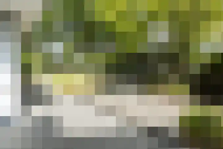 Kruithoorn 23 Gilze thumbnail 22