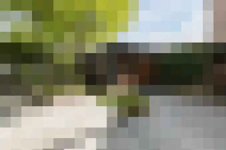 Kruithoorn 23 Gilze thumbnail 23