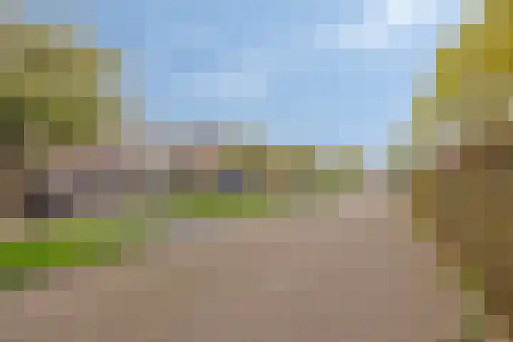 Kruithoorn 23 Gilze thumbnail 40