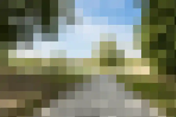 Kruithoorn 23 Gilze thumbnail 52