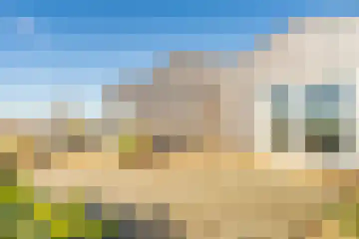 Kruitmolen 28 Muiden thumbnail 15