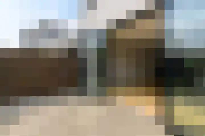 Kruitmolen 7 Muiden thumbnail 7