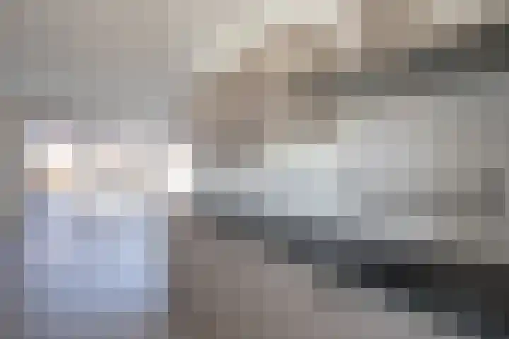 Kruizemunt 3 Vroomshoop thumbnail 10