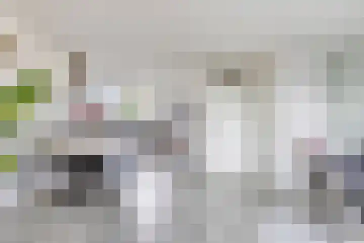 Kruizemunt 41 Dronten thumbnail 12