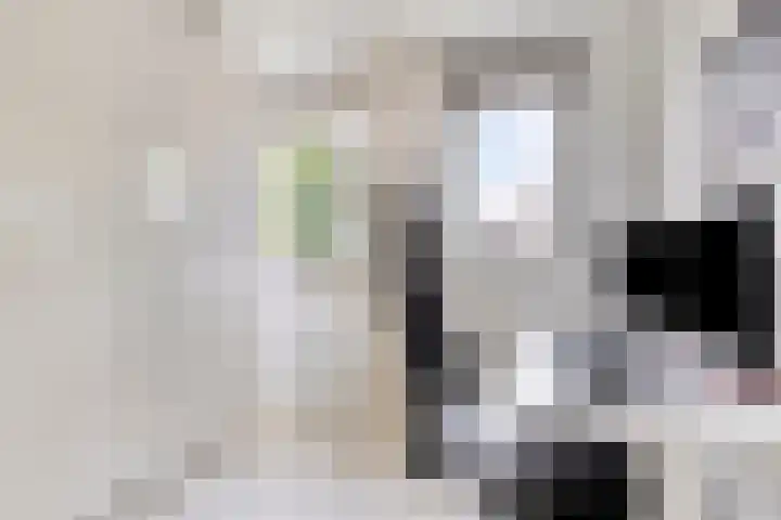 Kruizemunt 41 Dronten thumbnail 25