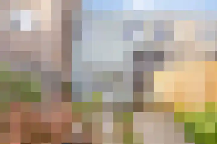 Kruizemunt 41 Dronten thumbnail 31