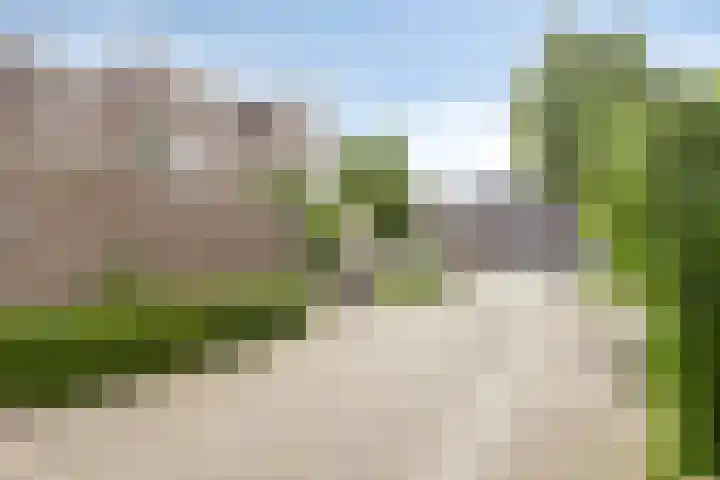 Kruizemunt 41 Dronten thumbnail 6