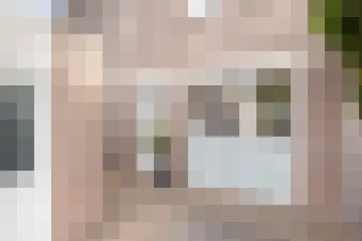 Kruizemunt 41 Dronten thumbnail 7