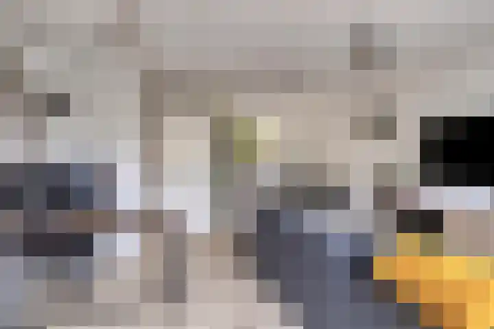 Kruizemunt 7 Numansdorp thumbnail 10