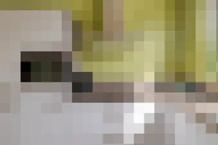 Kruizemunt 7 Numansdorp thumbnail 13