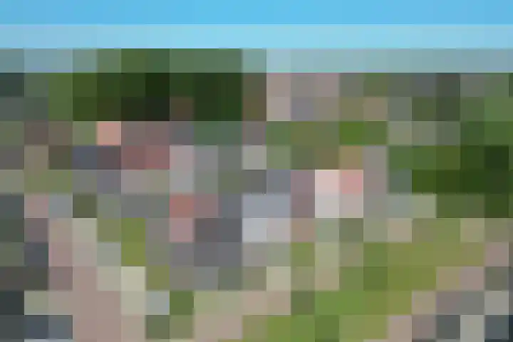 Kruizemunt 7 Numansdorp thumbnail 24
