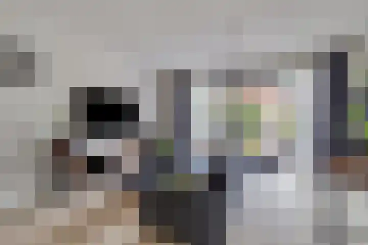 Kruizemunt 7 Numansdorp thumbnail 6