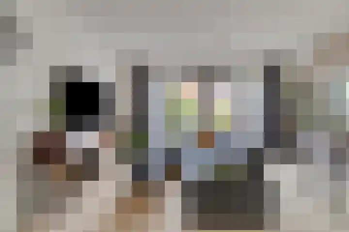 Kruizemunt 7 Numansdorp thumbnail 7