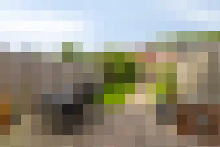 Kruizemunt 7 Numansdorp thumbnail 8