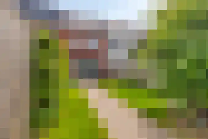 Kruizemunt 7 Numansdorp thumbnail 9