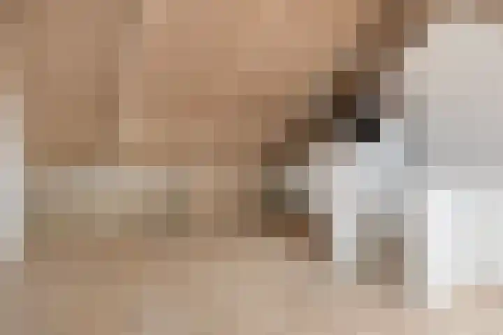 Kruizemunt 8 Vroomshoop thumbnail 21