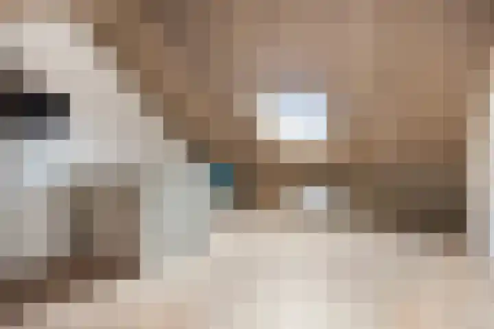 Kruizemunt 8 Vroomshoop thumbnail 22