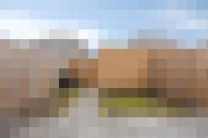 Kruizemunt 8 Vroomshoop thumbnail 23
