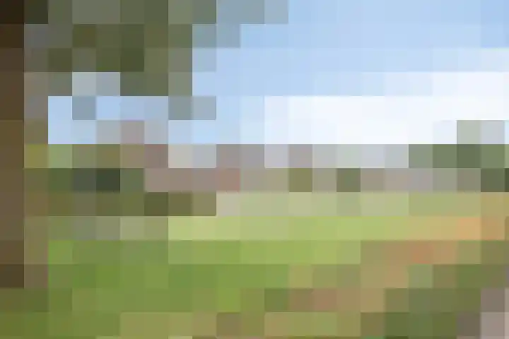 Kruizemunt 8 Vroomshoop thumbnail 27