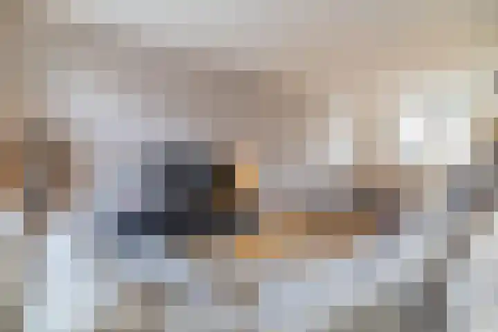 Kruizemunt 9 Vroomshoop thumbnail 10