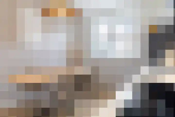 Kruizemunt 9 Vroomshoop thumbnail 15