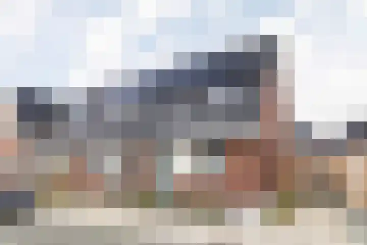 Kruizemunt 9 Vroomshoop thumbnail 21