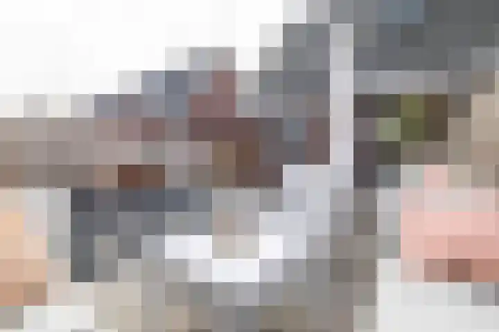 Kruizemunt 9 Vroomshoop thumbnail 24