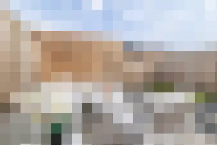 Kruizemunt 9 Vroomshoop thumbnail 25