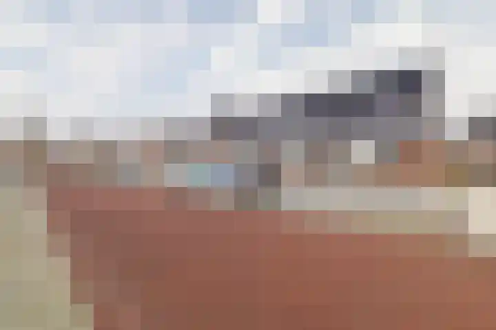 Kruizemunt 9 Vroomshoop thumbnail 30
