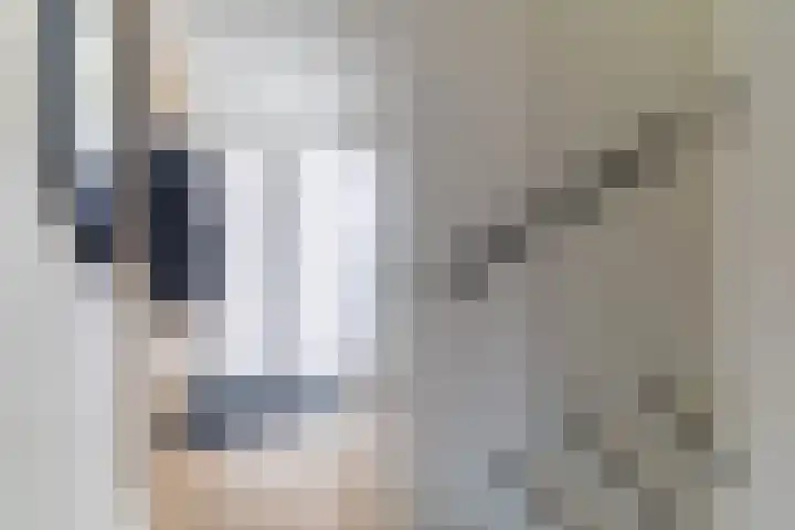Kruizemunt 9 Vroomshoop thumbnail 4