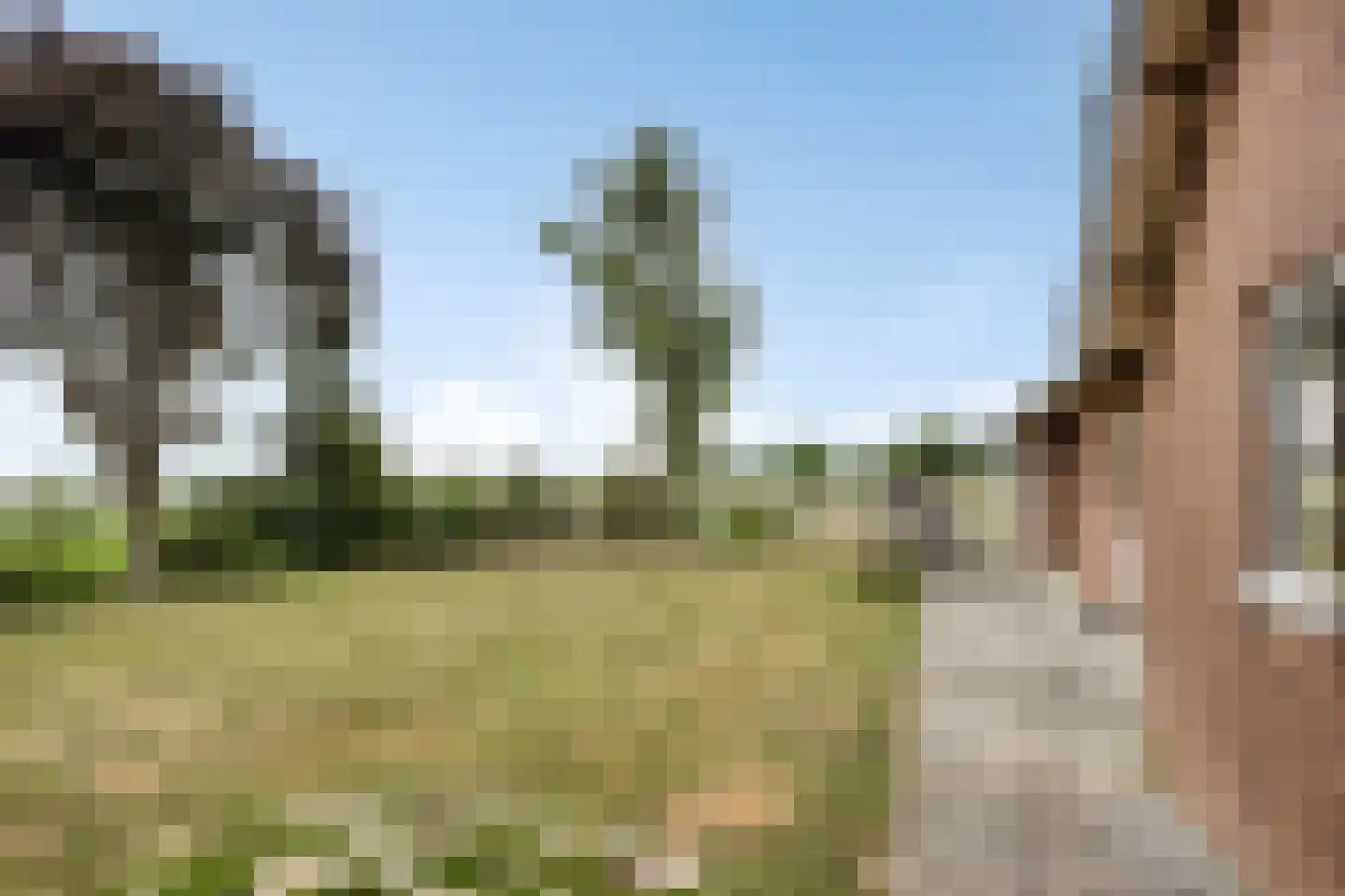 Krukweg 5 Moerdijk thumbnail 5
