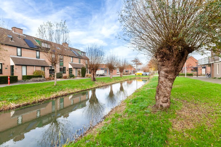 Krulmos 30 in Alblasserdam foto