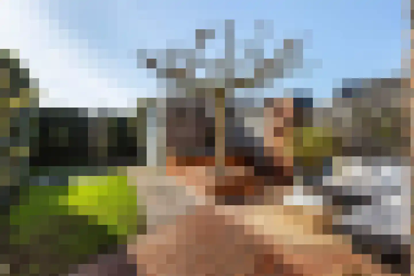 Krulzoom 12 Apeldoorn thumbnail 10