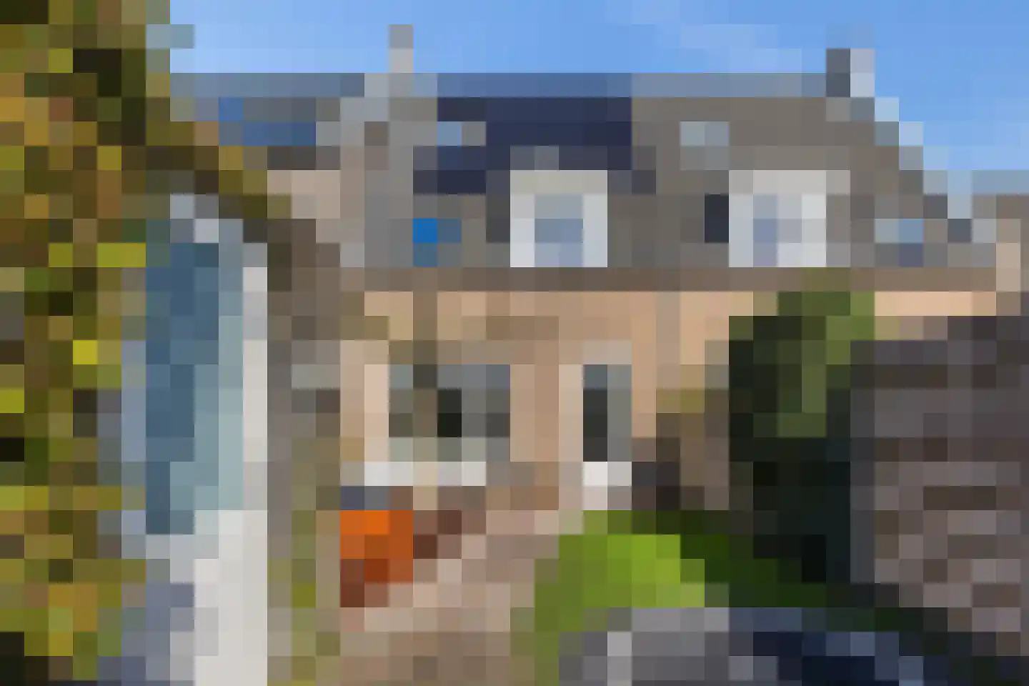 Krulzoom 12 Apeldoorn thumbnail 12