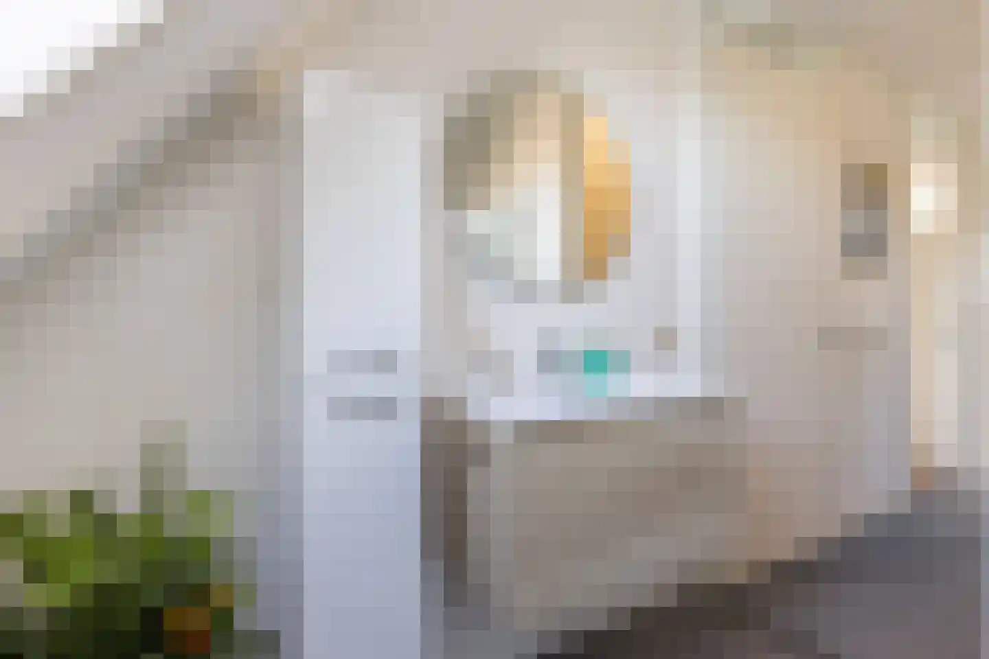 Krulzoom 12 Apeldoorn thumbnail 24