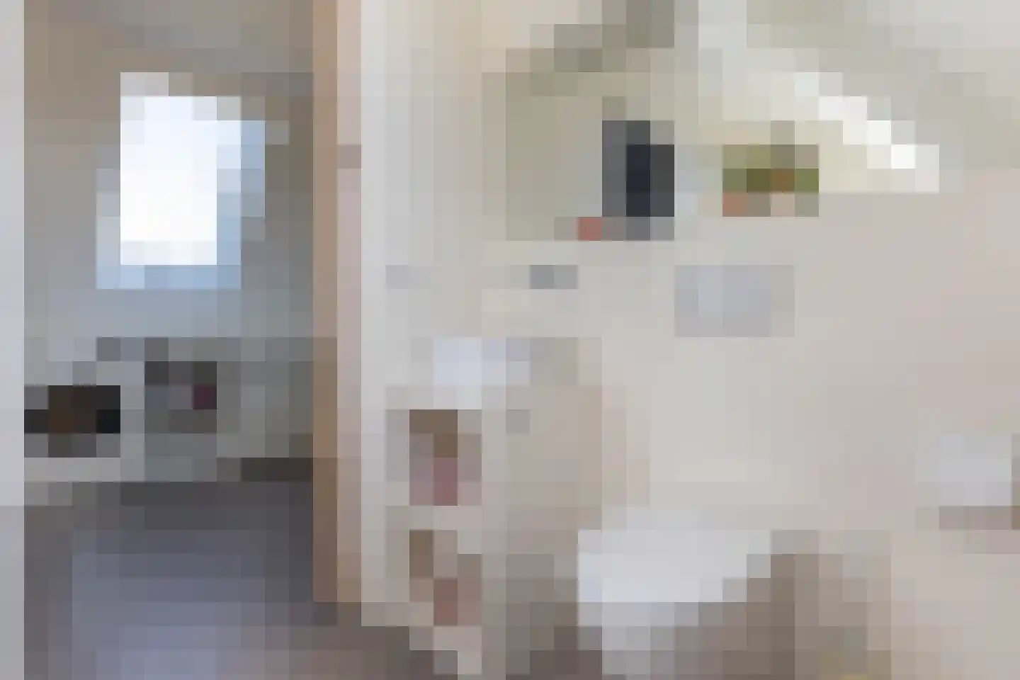 Krulzoom 12 Apeldoorn thumbnail 32