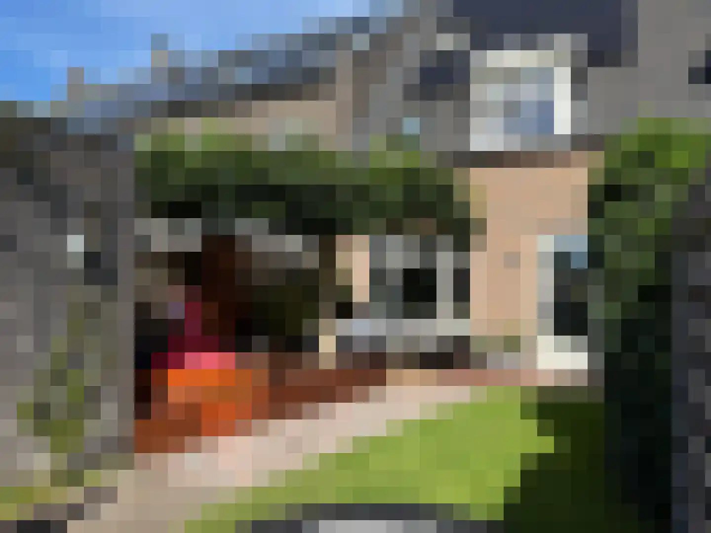 Krulzoom 12 Apeldoorn thumbnail 41