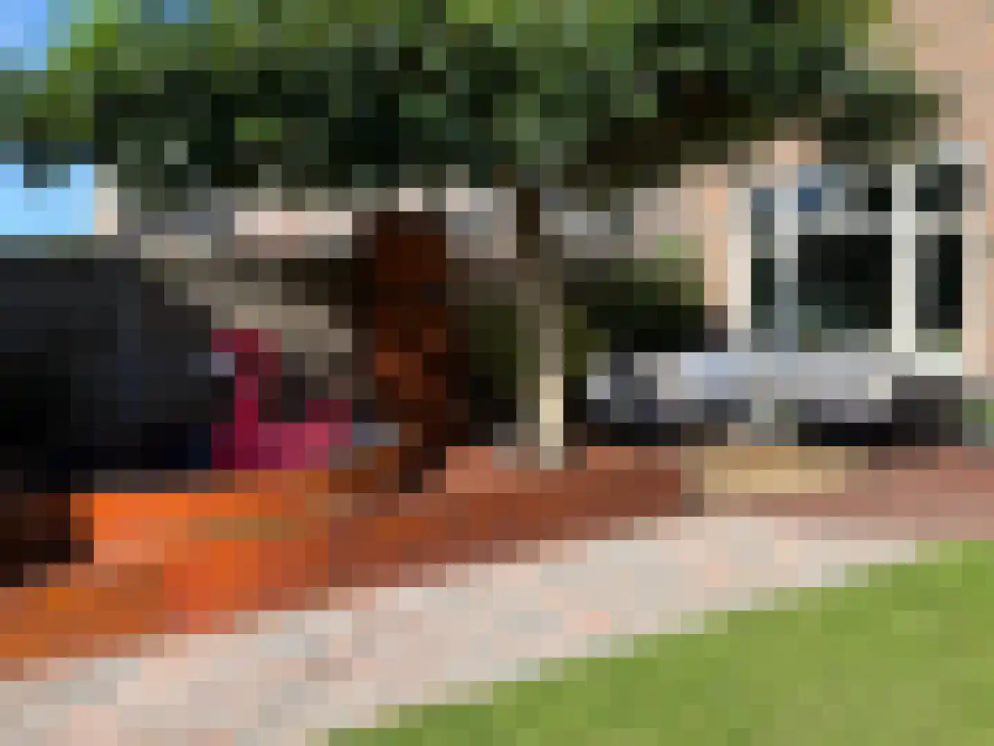 Krulzoom 12 Apeldoorn thumbnail 42