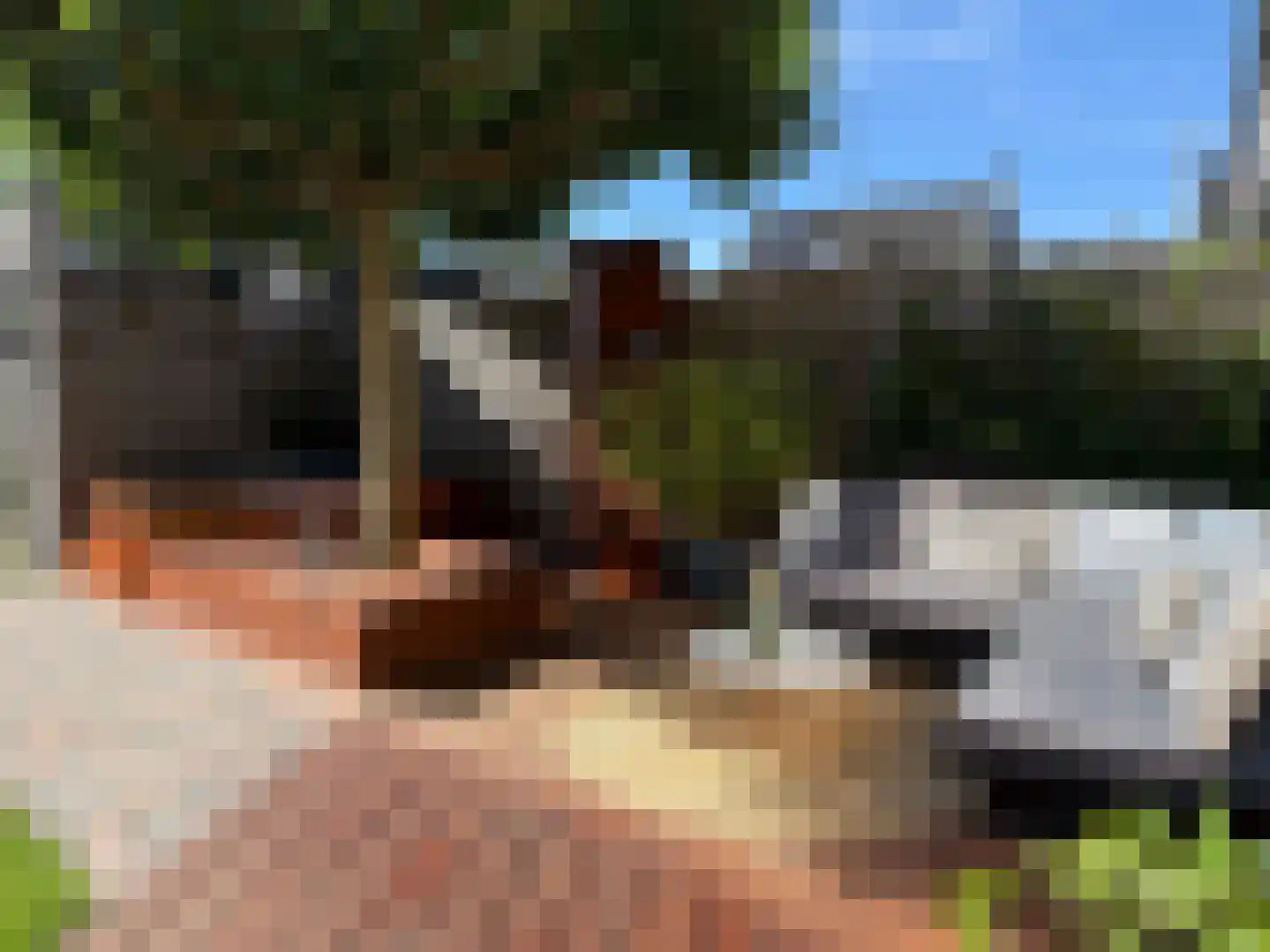 Krulzoom 12 Apeldoorn thumbnail 44