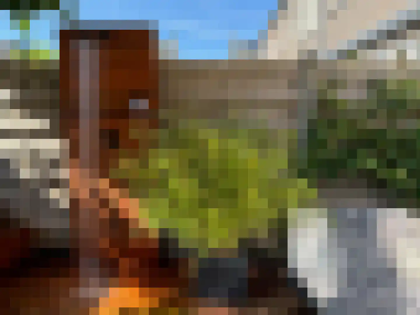 Krulzoom 12 Apeldoorn thumbnail 46