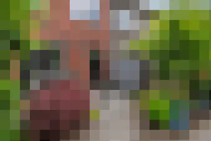 Kruserbrink 78 Hardenberg thumbnail 31