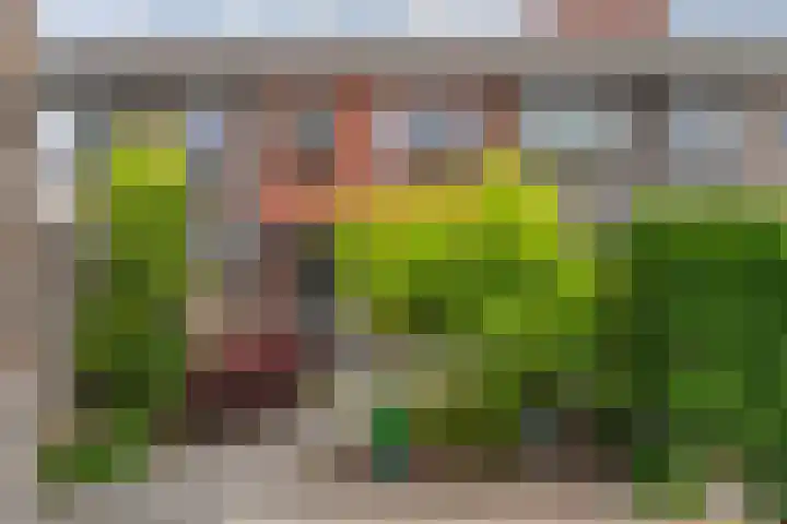 Kruserbrink 78 Hardenberg thumbnail 32