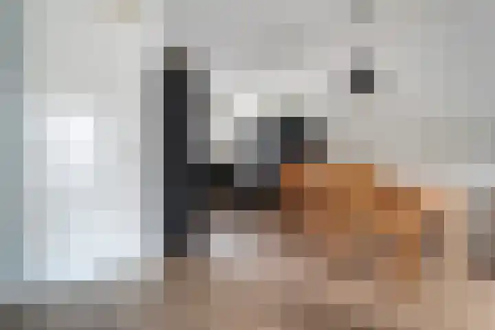 Kruserbrink 78 Hardenberg thumbnail 9