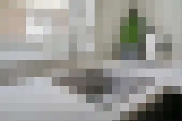 Krúslings 34 Ureterp thumbnail 11