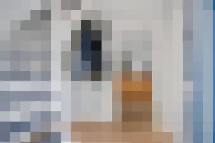Krúslings 34 Ureterp thumbnail 18